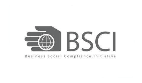 BSCI Audit